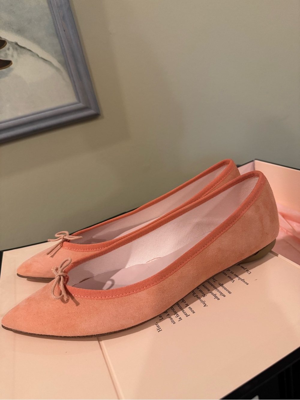 Repetto Brigitte Pointed Toe Ballet Flats Pink Suede Sz 40 NIB
